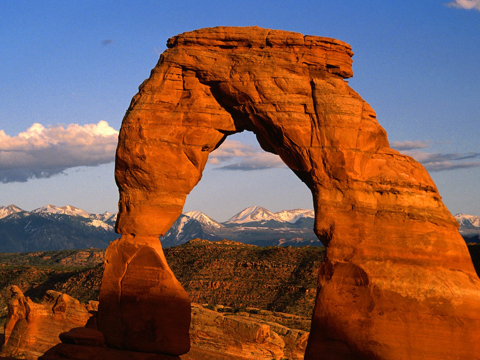 Delicate Arch Arches National Park Utah Picture Delicate Arch Arches 