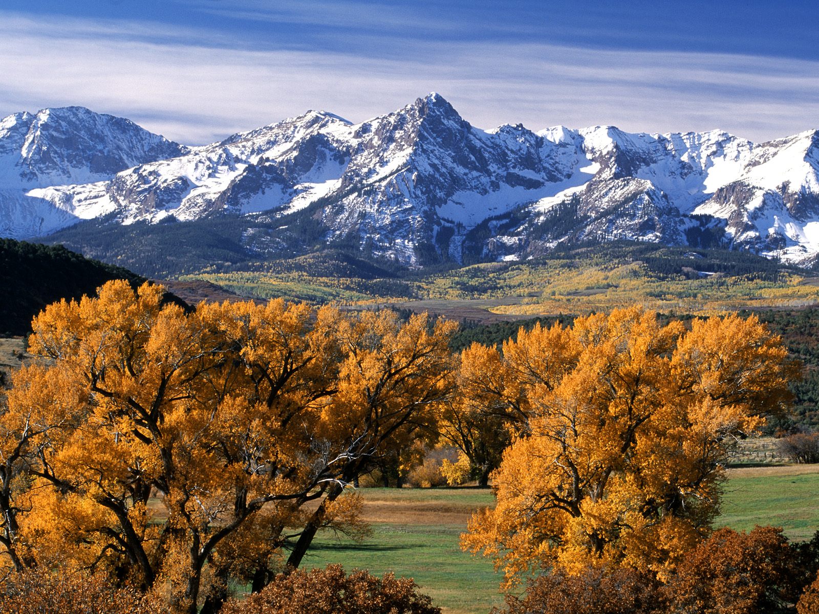 Autumn Colors Sneffels Range Colorado