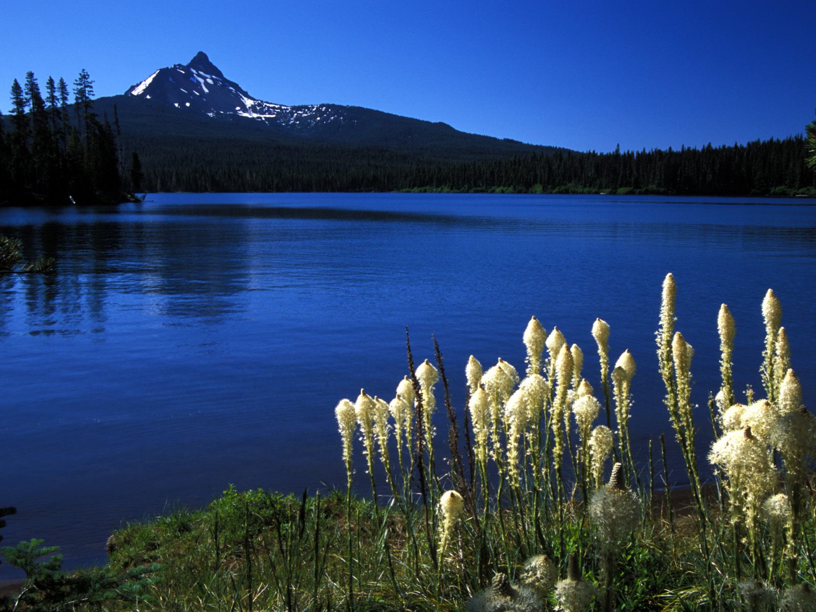 Mount Washington from Big Lake Oregon