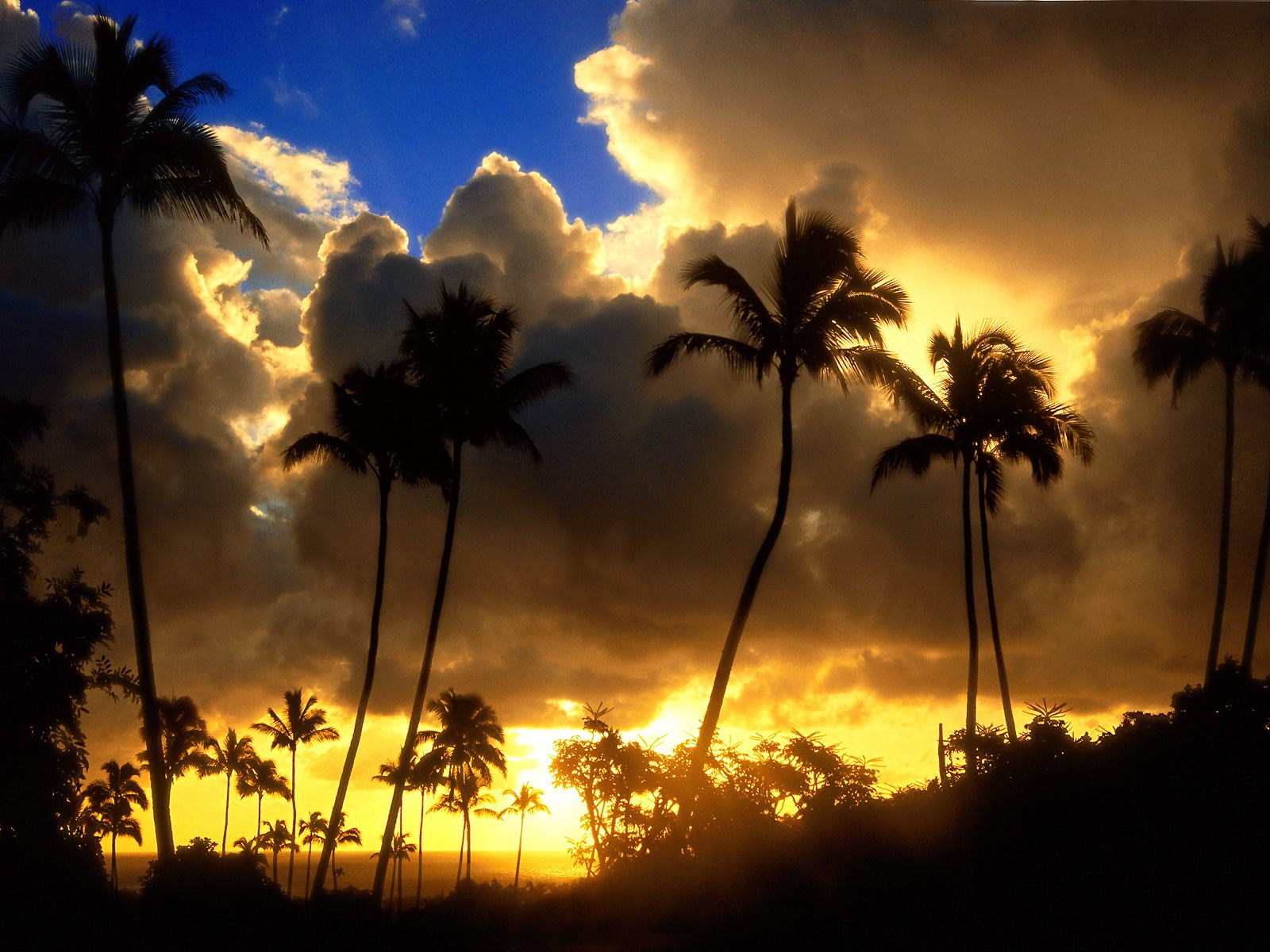 Kapa'a Sunrise Kauai Hawaii