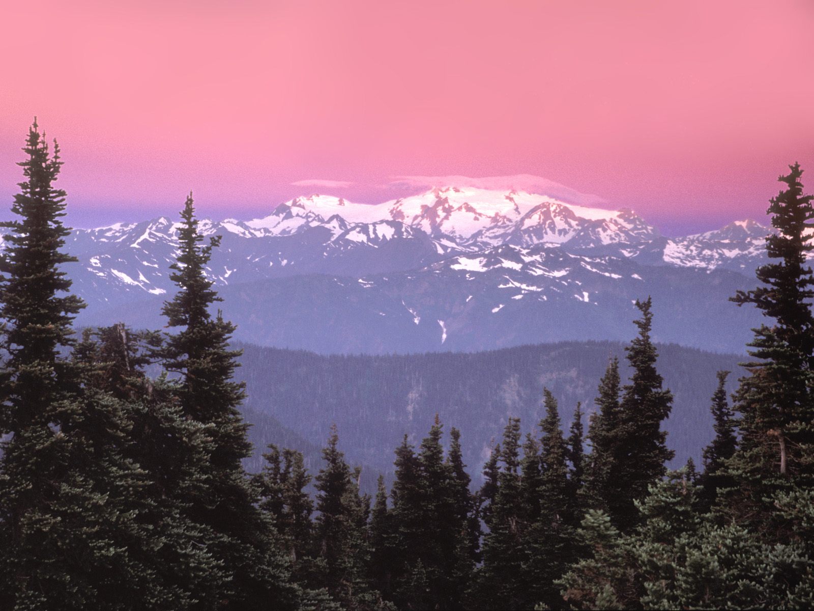 Sunrise over Mount Olympus  Olympic National Park Washington