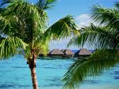 Tropical Accommodations Moorea Island French Polynesia
