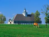 Donamire Horse Farm Lexington Kentucky