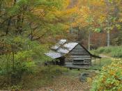 Homestead Cabin Smoky Mountains National Park