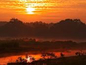 Sunrise Over Muscatatuck National Wildlife Refuge Indiana