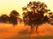 Sunrise on Horse Farm Versailles Kentucky