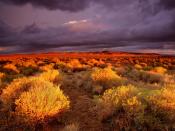 Antelope Valley California